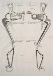Diagram voor paardenbit, 1700s
