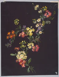 Tekening, uit Saint Germain - Deel 1 en 2