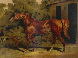 Eclips, ca. 1879
