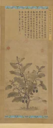 Aubergine, Ming-dynastie, 1368-1644