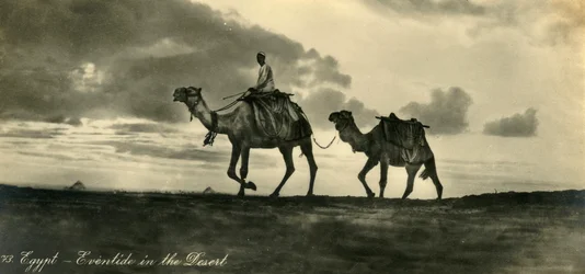 Egypte - Avond in de Woestijn, ca. 1918-ca. 1939