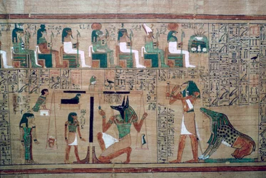 Egyptische papyrus met een afbeelding van het 
