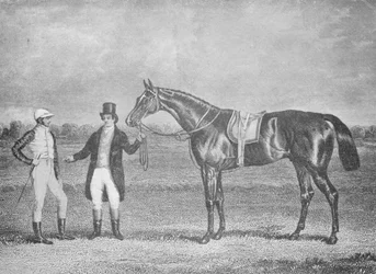 Euclides, tweede in de St. Leger, 1839, na een dead-heat met Charles XII, ca. 1839, 1911