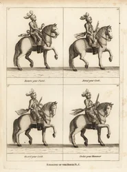 Oefening van het paard