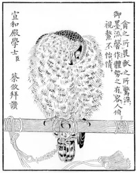 Valk, 1886