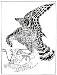 Valk en reiger, 16e eeuw 1886