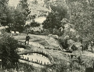 Visvijvers, Ercildoune, bij Ballarat