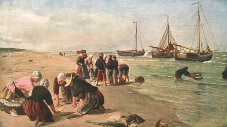 Vis van de Doggersbank, Scheveningen, Nederland, 1870, c1902