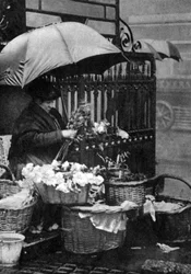 Bloemenverkoper, Piccadilly Circus, Londen, 1926-1927