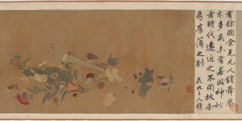 Bloemen, fruit, schelpen en insecten