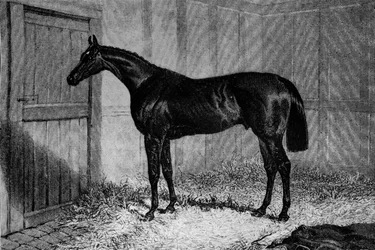 Foig-A-Ballagh, ca. 1841-1860, 1911