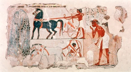 Fragment van oud Egyptisch beschilderd pleisterwerk met de oogst