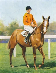 Gratis rit, Jockey: B. Hobbs, 1939