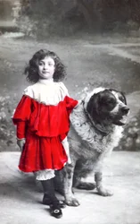 Franse ansichtkaart, c1900