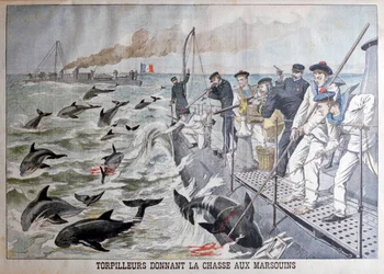Franse torpedoboten jagen op bruinvissen, 1903