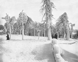 Vorstwerk in Prospect Park, Niagara, VS, ca. 1900