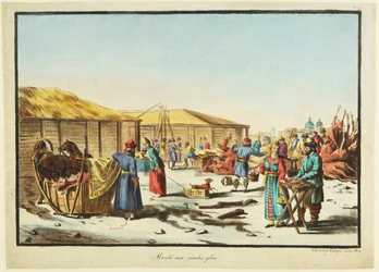 Bevroren vleesmarkt