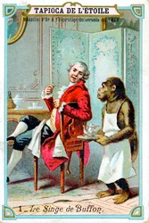 George-Louis Leclerc, Graaf van Buffon, 18e eeuwse Franse natuuronderzoeker