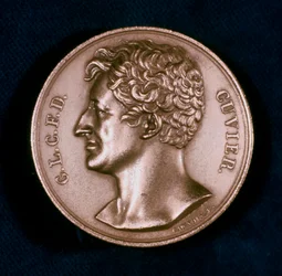 Georges Leopold Chretien Frederic Dagobert, Baron Cuvier, Franse anatoom, 19e eeuw