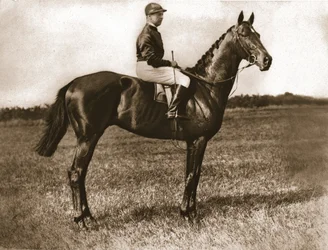 Georges Stern op Sunstar, 1911