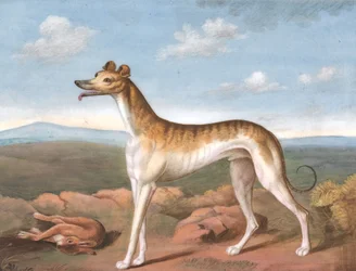 Windhond: naar links gericht, met een dode haas aan zijn voeten, ca. 1805
