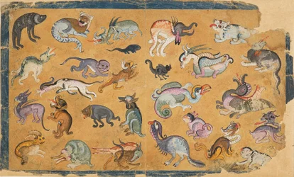 Grote dieren