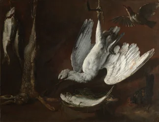 Haas, Lepelaar en Vis, midden 1600