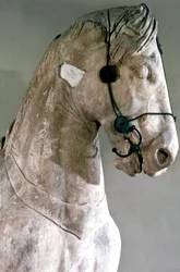 Paard, Quadriga van het Mausoleum bij Halikarnassos, 350 v.Chr.