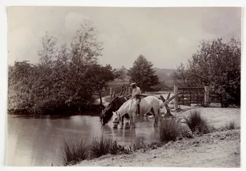 Paarden drinken bij een vijver, ca. 1890