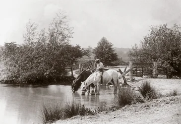 Paarden drinken bij vijver, circa 1890