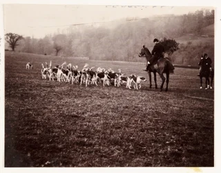 Jager en honden, ca. 1905