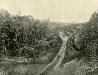 In de Blackall Ranges, 1901