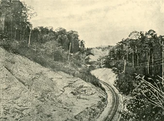 In de Blackall Ranges, 1901