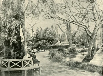 In de Botanische Tuinen, Adelaide, 1901