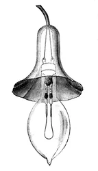 Gloeilamp door Lane-Fox, 1883