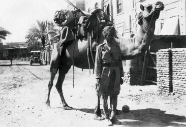 Indiase kameeltroeper, Bagdad