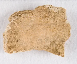 Ingesneden botfragment orakelbot, Late Shang-dynastie, ca. 1300-1050 v.Chr.