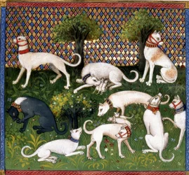 Jachthonden (Alan) / Livre de la Chasse