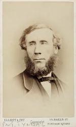 John Tyndall, Ierse natuurkundige, ca. 1875
