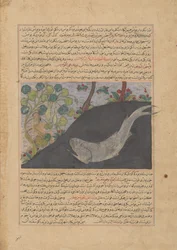 Jona en de Walvis, Folio uit een Majma