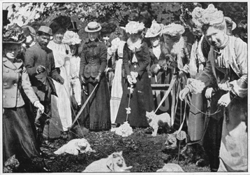 Katten keuren op de Royal Botanic Gardens show, Kew, Londen, ca. 1900-1901