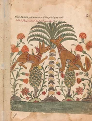 Kalila Berispt Dimna, Folio uit een Kalila wa Dimna, 18e eeuw