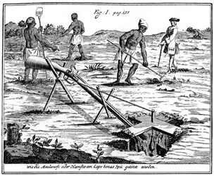 Khoikhois vangen mollen, Zuid-Afrika, 18e eeuw 1931