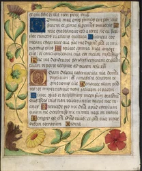 Blad uit een Psalter en Gebedenboek: Sierlijke Rand met Bloemen en Eekhoorn verso, ca. 1524
