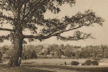 Uitzicht vanaf de Groene Hellingen van Caen Wood naar de Kerkspits van Oud Highgate, ca. 1935