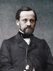 Louis Pasteur, Franse microbioloog en chemicus, 19e eeuw