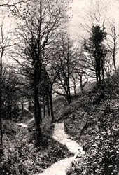 Lovers Lane, Fairlight, Hastings, Sussex