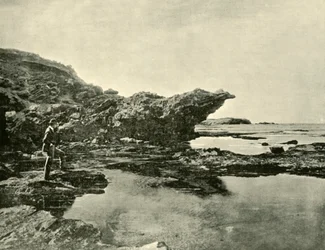 Laag tij, Shelly Beach, Warrnambool