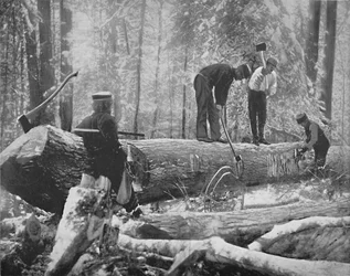 Houthakken aan de Ottawa-rivier, Canada, ca. 1897