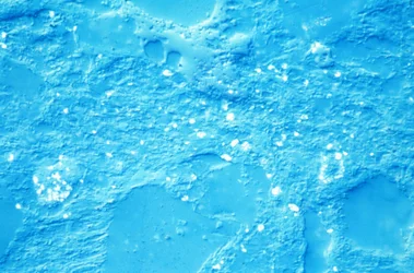 Mineralen, LM Siltsteen